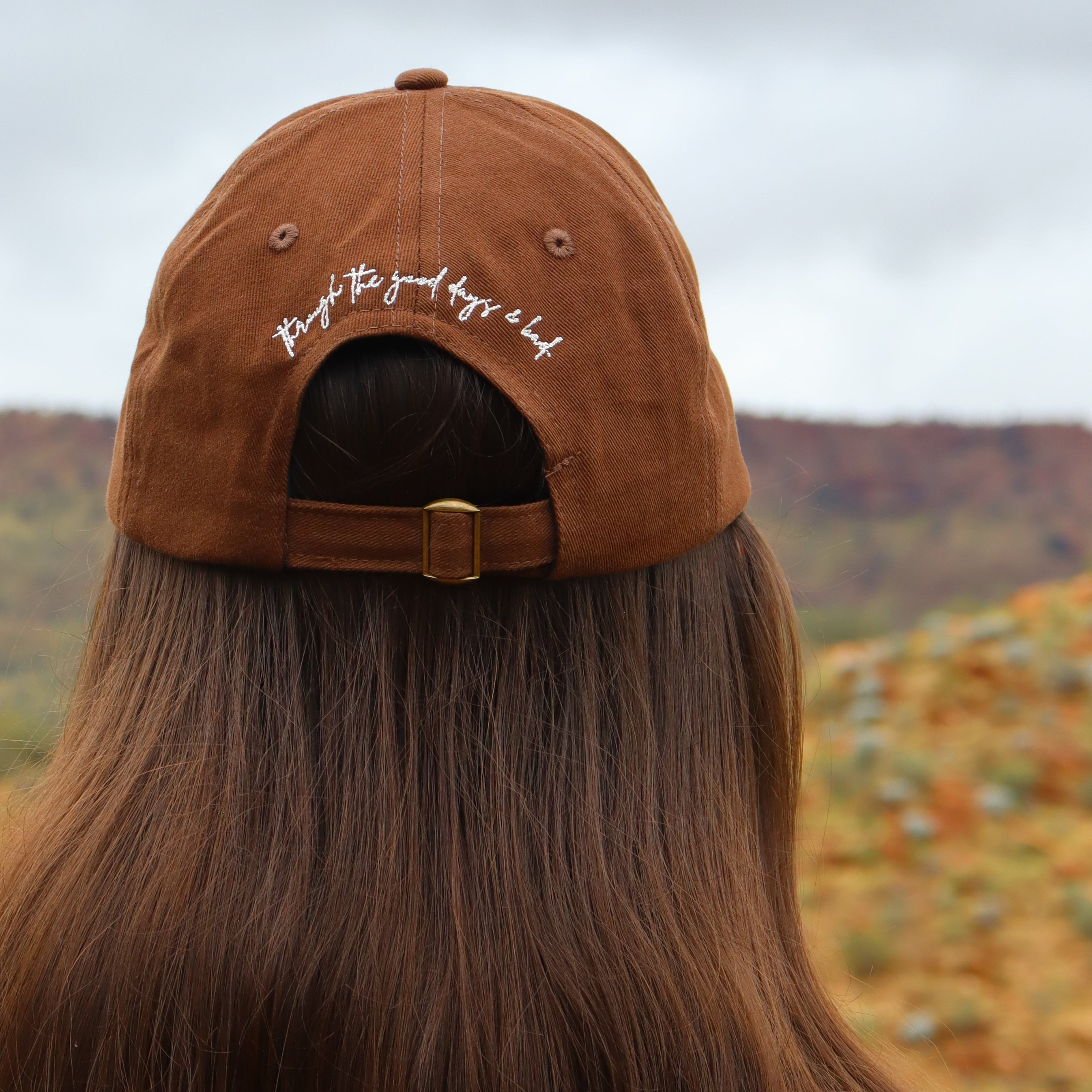 Distressed Cap - Dark Brown